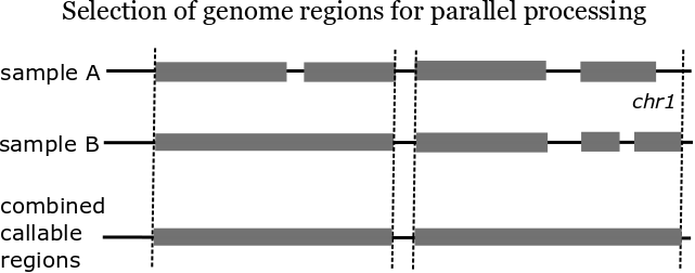 parallel-genome.png
